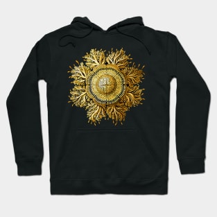 Ernst Haeckel 01 Hoodie